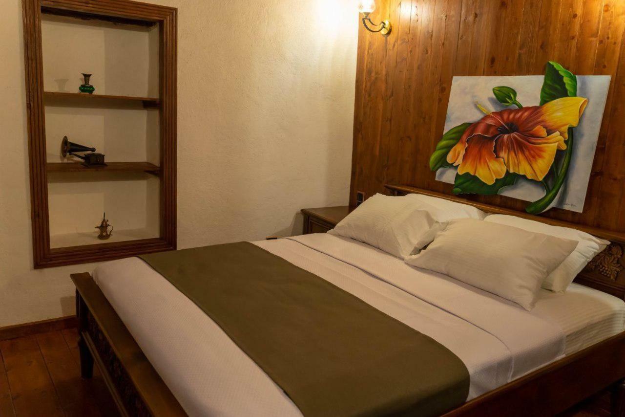 Yesil Ev Cafe & Boutique Hotel 哈塔伊 外观 照片